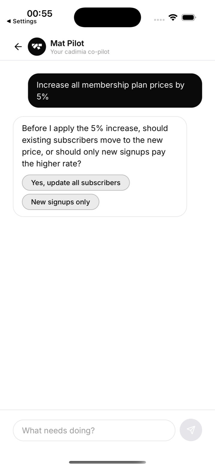 MatPilot asking one question at a time, with tappable choices