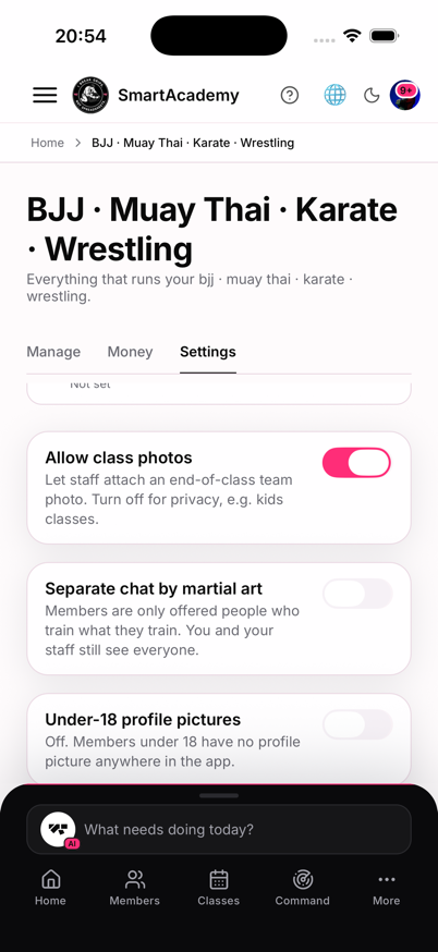 The Separate chat by martial art toggle in academy settings, switched off