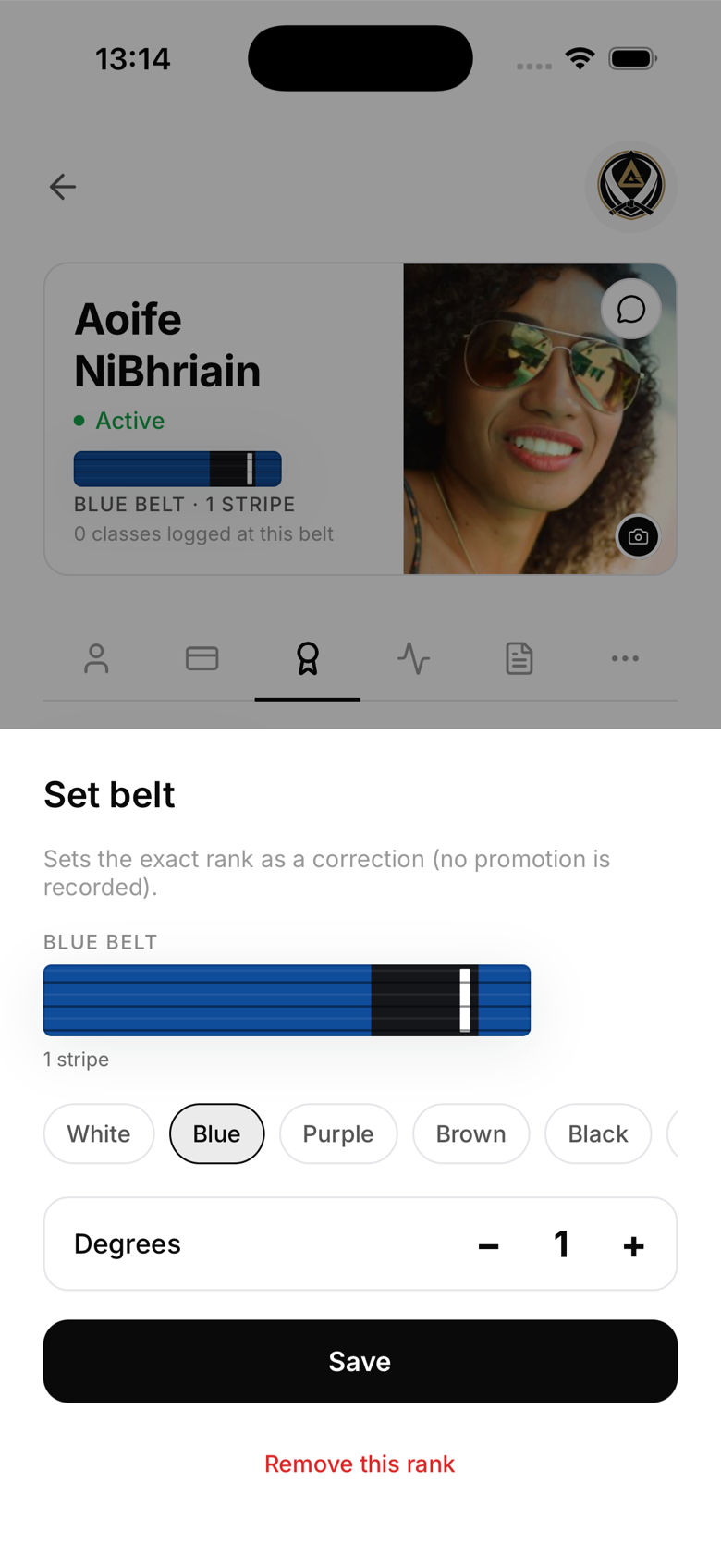 Editing a belt in a custom ladder