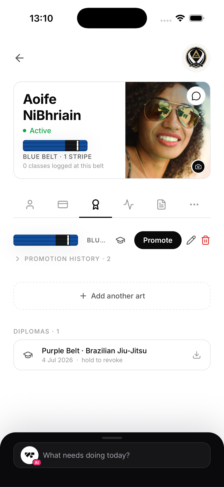 A member's ranks across multiple arts